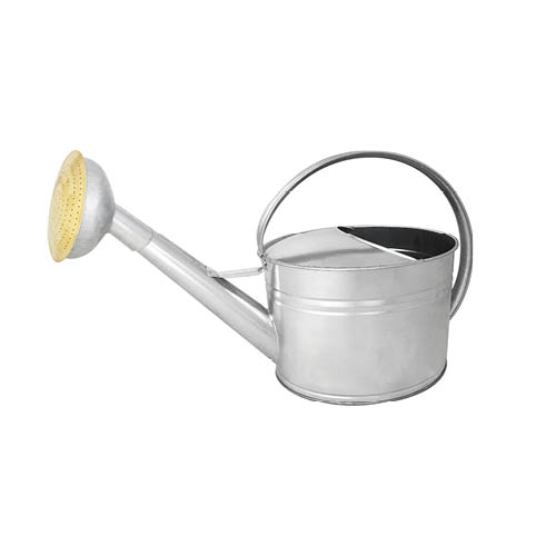 guillouard-arrosoir-6l-acier-galva-pomme-galva-grille-laiton image 1