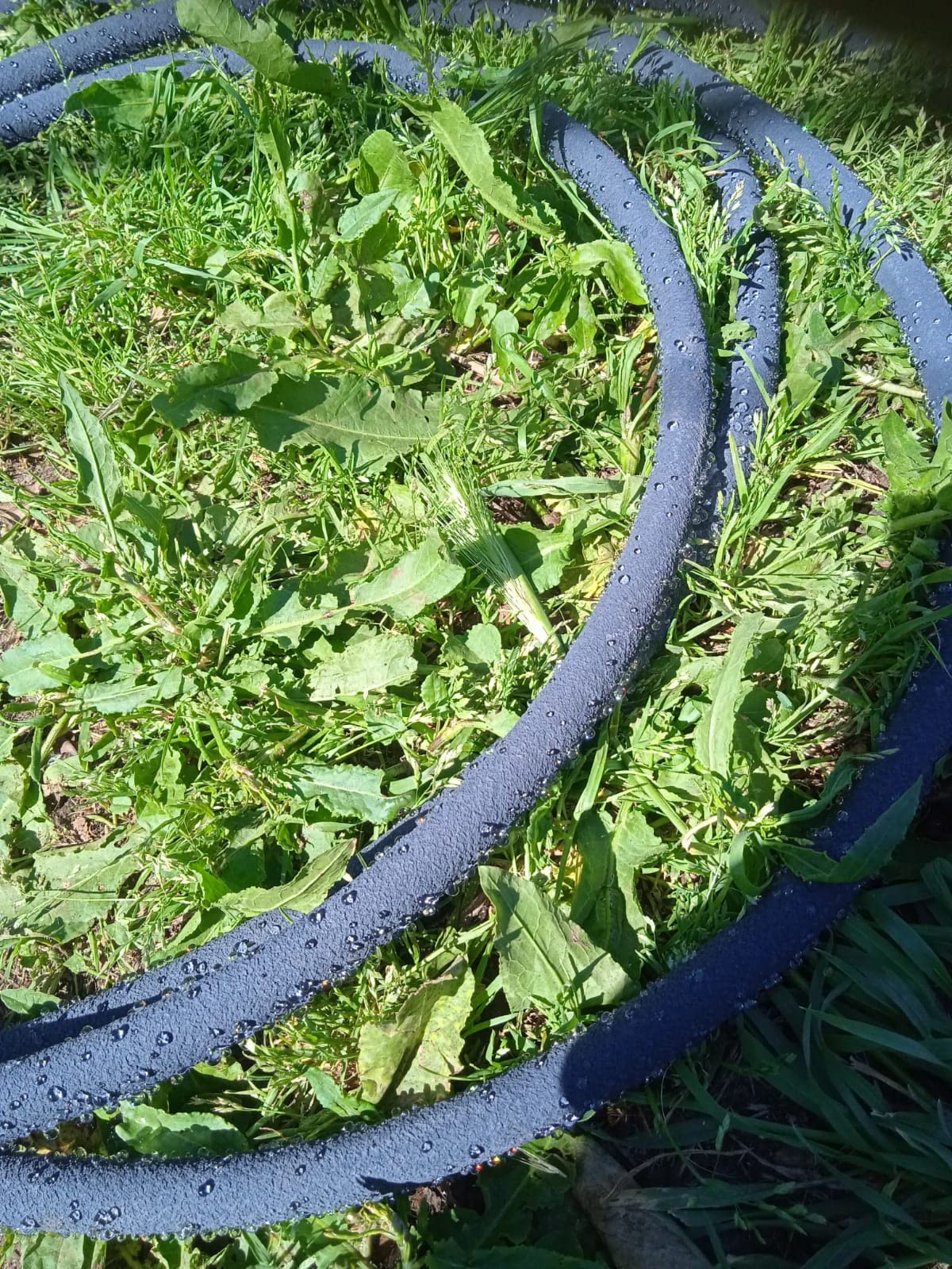 À tester sur petite zone