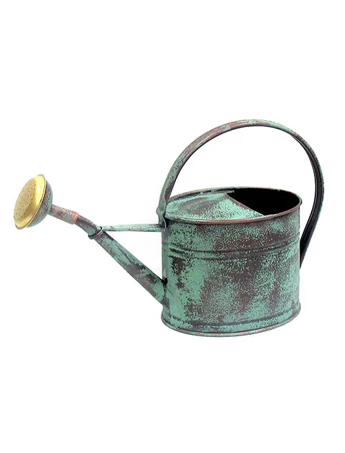guillouard-arrosoir-galvanis-1-75l-vert-vieilli image 1