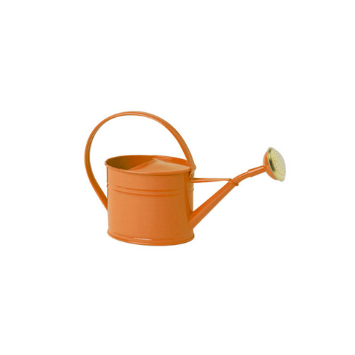 guillouard-arrosoir-galvanis-1-75-l-corail image 1