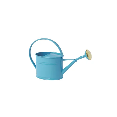 guillouard-arrosoir-azur-1-75l-en-acier-galvanis image 1