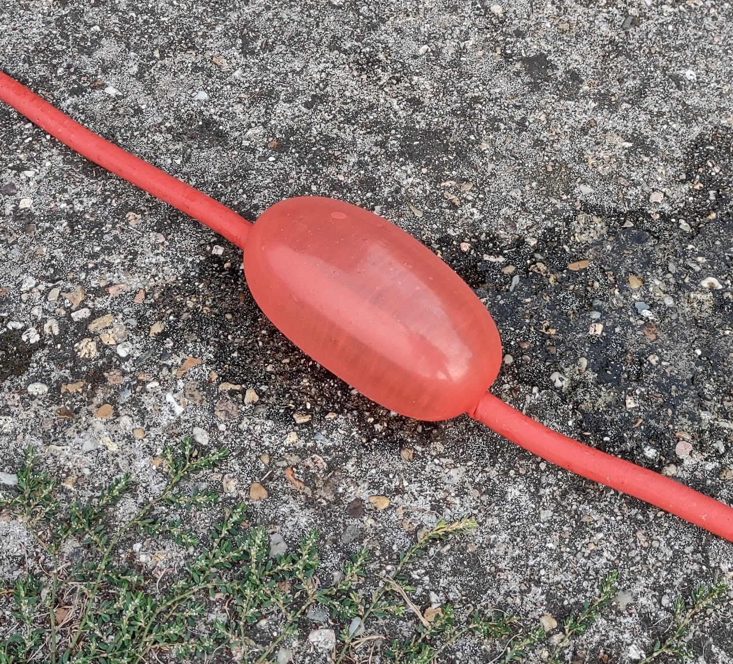 Bien mais fragile au soleil