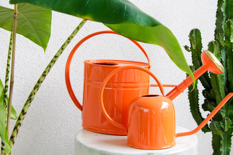 guillouard-arrosoir-rond-1-5l-acier-corail-goulot-fin image 3