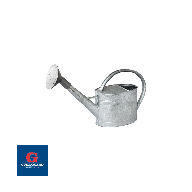guillouard-arrosoir-galvanis-chaud-6l-pomme-plastique image 2