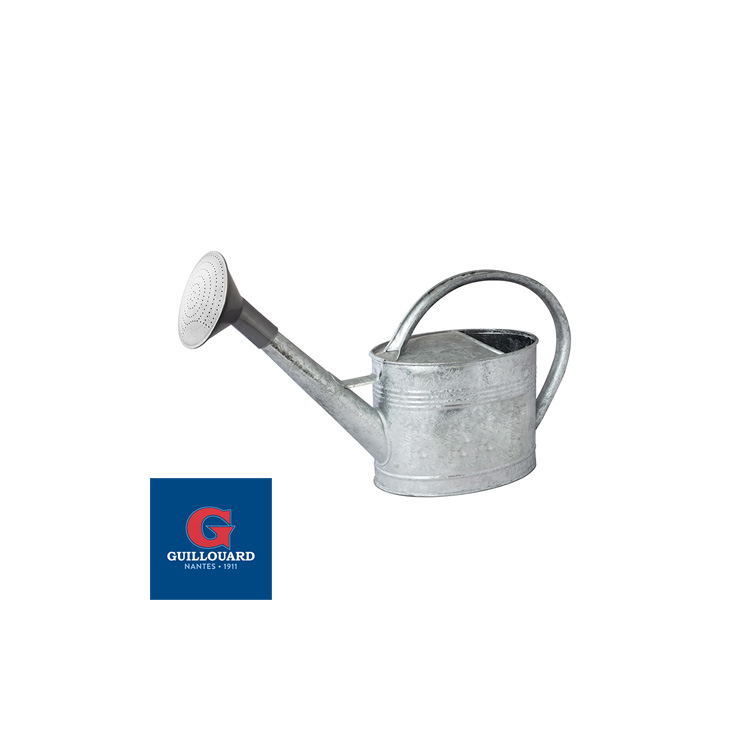 guillouard-arrosoir-galvanis-chaud-6l-pomme-plastique image 1