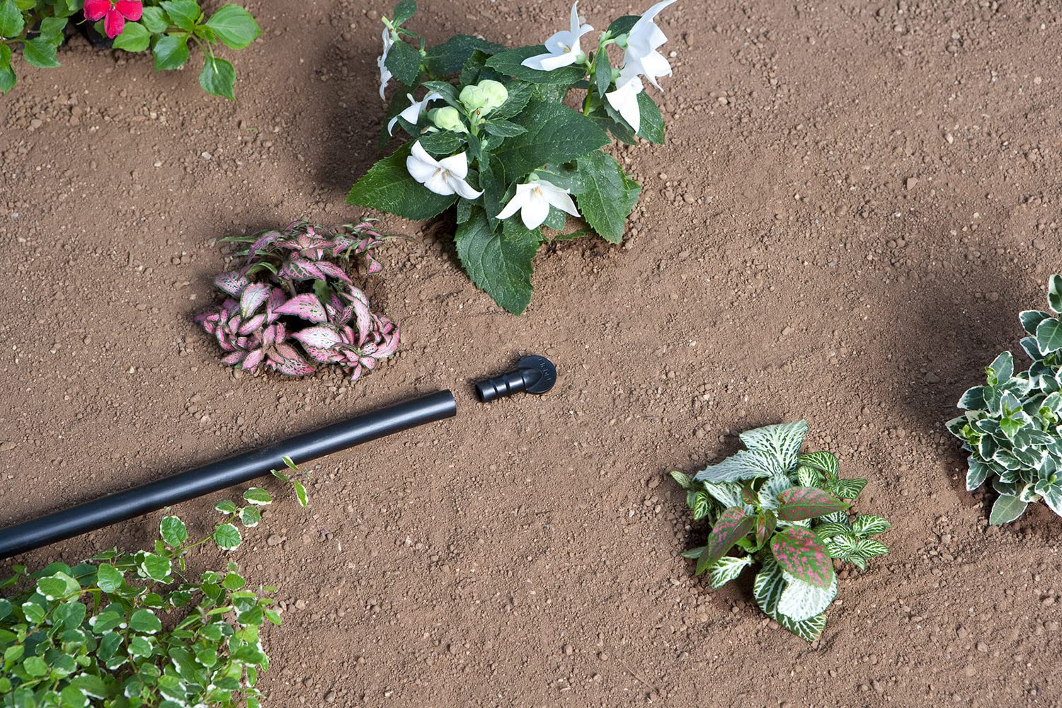 claber-kit-terrasse-irrigation-goutte-goutte-50-plantes image 6