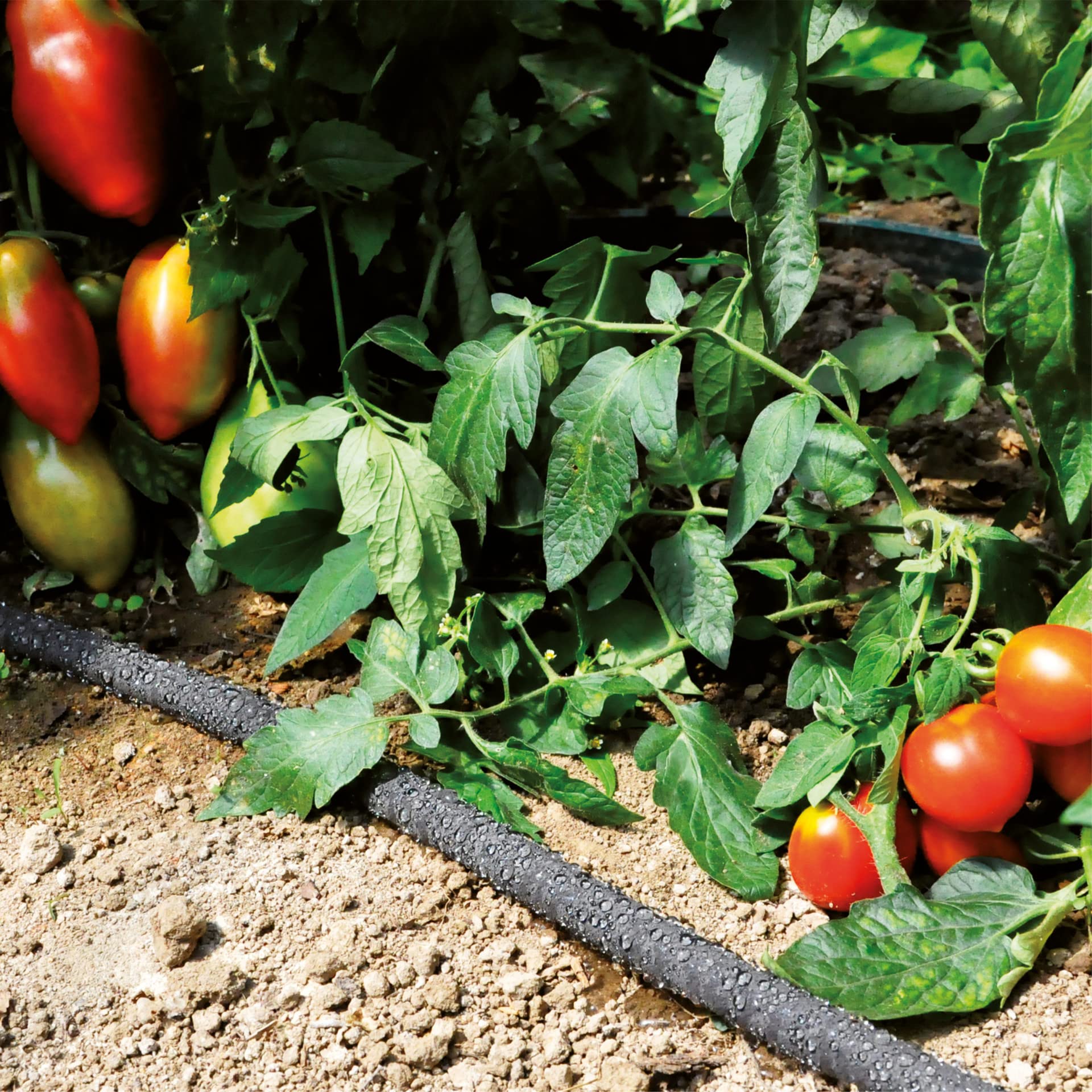 fitt-ecodrop-15m-tuyau-microporeux-goutte-goutte-r-ducteur image 3