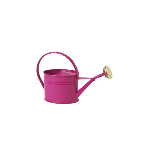guillouard-arrosoir-rose-1-75l-en-acier-galvanis image 1