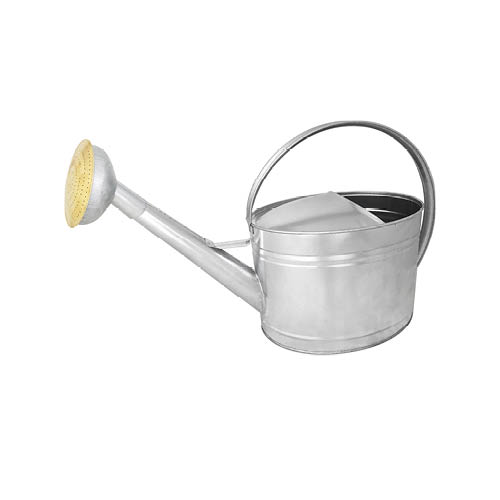 guillouard-arrosoir-10-l-acier-galvanis-pomme-galva-grille-laiton image 1