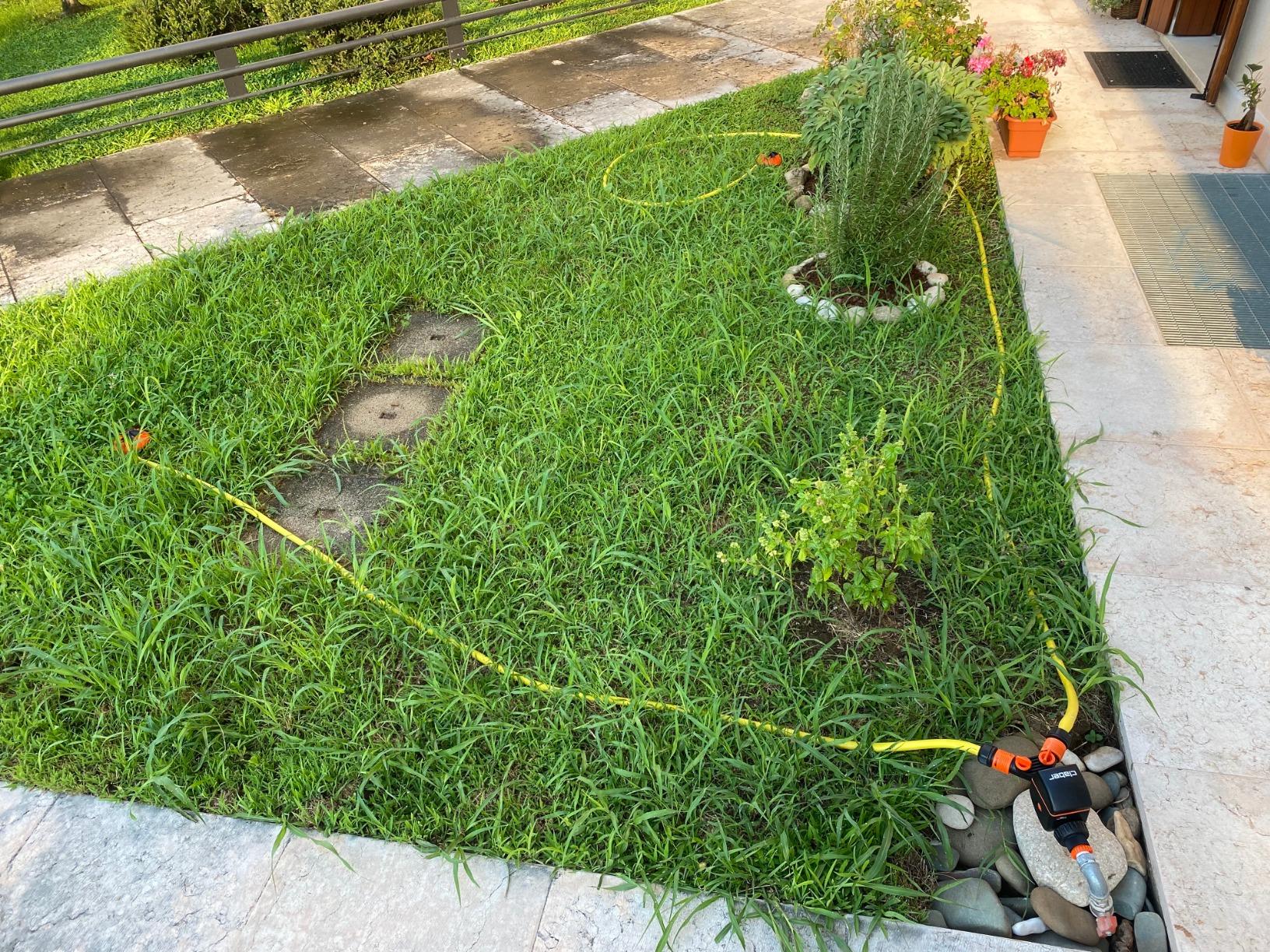 Idéal petit jardin