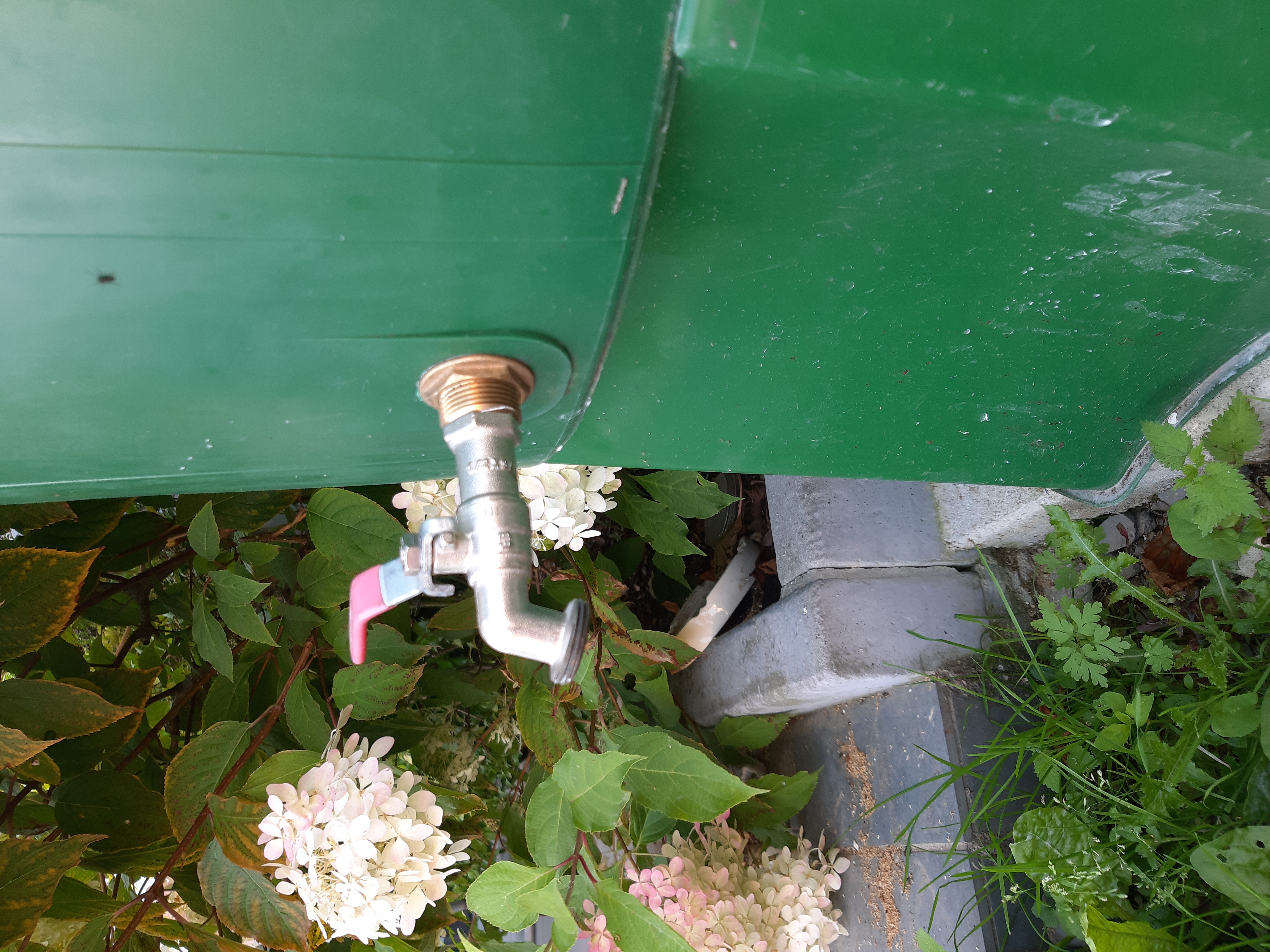 Jeune jardinier conquis