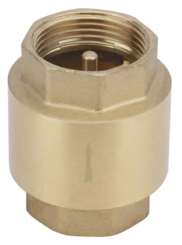 boutt-clapet-anti-retour-laiton-50x60-accessoire-pompe-pn10 image 6