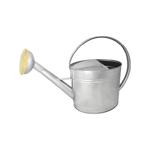 guillouard-arrosoir-13l-acier-galva-pomme-galva-grille-laiton image 1