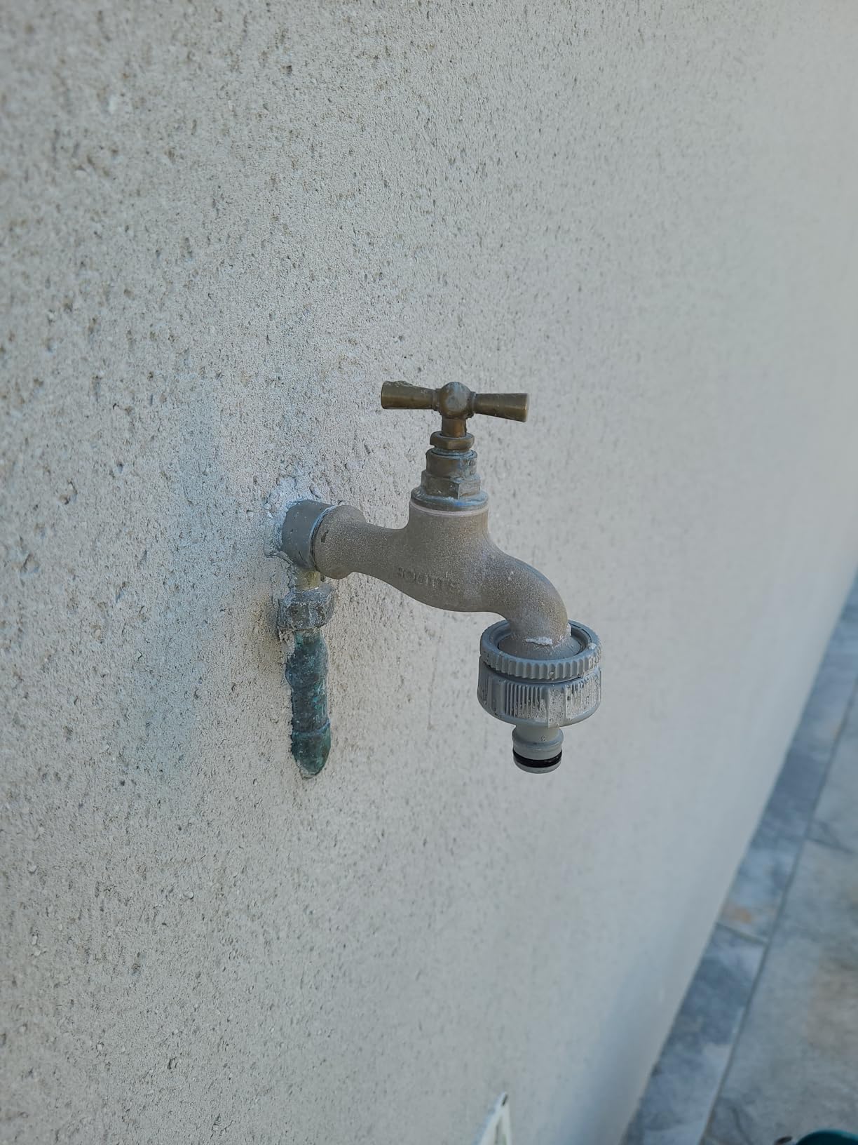 Nickel au jardin