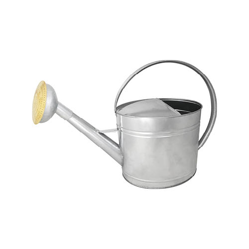guillouard-arrosoir-13l-acier-galva-pomme-galva-grille-laiton image 1