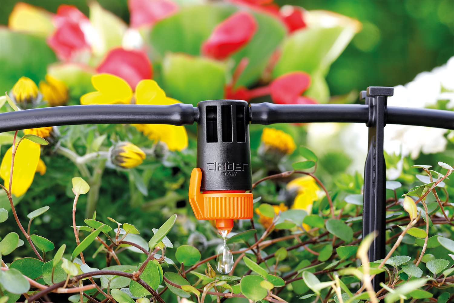 claber-kit-terrasse-irrigation-goutte-goutte-50-plantes image 3